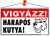 Információs tábla, 22,5x12,5 cm, "Vigyázz! Harapós kutya!"